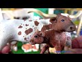 farm animals 52 cows learn animal names educational toys for kids children 33