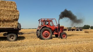 MTZ 50 | John Deere 7810 + KRONE BIG PACK 1290 - Bálázás 2017 | MTZ 820.4 - bálahordás