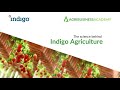 Indigo Agriculture ($1 billion company) Business Model