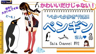 【ペンギンのヒミツ】意外と知らない！ペンギンさんの奥深さに触れてみよう♬【#92】