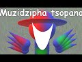 Muzidzipha Tsopano v2
