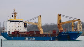 Saltwater Ship BBC Zarate