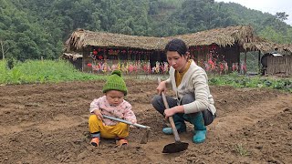 Single mother Ly Tieu Ca renovated her garden to grow melons.