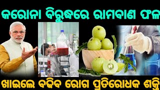 କରୋନା ଭାଇରସ୍ ବିରୁଦ୍ଧରେ ରାମବାଣ ଭଳି କାମ କରିବ ଏହି ଫଳ, ଆକୁ ଖାଇଲେ ବଢିବ ରୋଗ ପ୍ରତିରୋଧକ ଶକ୍ତି