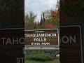 A great hike at Tahquamenon Falls #tahquamenonfall #upperpeninsula #hiking