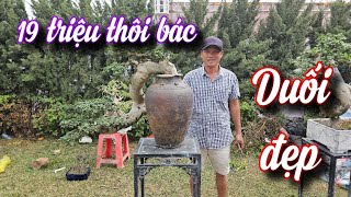 SH.9765. Cây Duối đổ quái này em báo giá 19 triệu thôi bác.