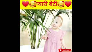 बेटी शायरी स्पेशल🥰 / beti shayari 2023 / beti par shayari #shorts #shortsfeed #beti #betishayari