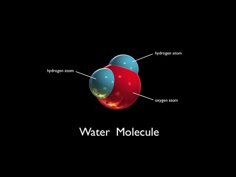 What does a water molecule contain?
