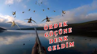 Ördek Göçüne Denk Geldim  2020 - лов на патици,патица патица,лов на патици,лов на патици в снега,