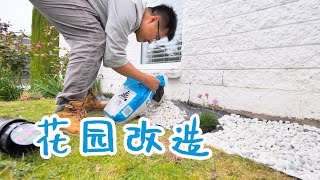 改造花园，拔掉旧的鸢尾，换上新的植物(新西兰 Harold Vlog 810)