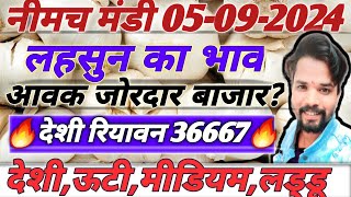 नीमच मंडी आज का लहसुन का भाव। Neemuch mandi Lahsun ka bhav। Aaj ka Lahsun ka bhav। Today garlic Rate