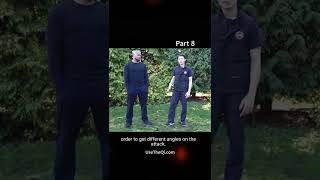 Wing Chun vs Mantis Kung Fu Techniques - Part 8 #shorts