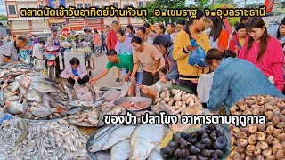 ตลาดนัดเช้าวันอาทิตย์บ้านหัวนา อ.เขมราฐ จ.อุบลราชธานี ของป่า ปลาโขง #ของป่า #ปลาโขง #อาหารตามฤดูกาล