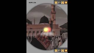 وہ عرش کے گلاب 🌹 ہیں اور میں غلام رسول صلی اللہ علیہ وسلم ہوں #urdu #poetry islamic videos# short