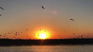 Çarpanak Adası Günbatımı (Tekneden)