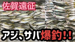 初心者でも簡単に釣れる釣り方ででアジが爆釣‼️【佐賀】【釣り】【堤防】【アジ】【サバ】【サビキ釣り】