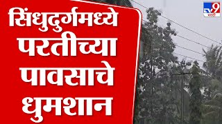 Sindhudurg Rain Update | सिंधुदुर्गमध्ये परतीच्या पावसाचे धुमशान, अवकाळी पावसामुळे भातशेती धोक्यात