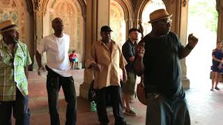 must-see! “Stand by Me” Cover Story  （Acapella Soul） Wonderful！New York  Central Park