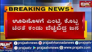 ಬೆಳ್ಳಂ ಬೆಳಿಗ್ಗೆ ಊರಿನೊಳಗೆ ಎಂಟ್ರಿ ಕೊಟ್ಟ ಚಿರತೆನ ಕಂಡು ಬೆಚ್ಚಿ ಬಿದ್ದ ಜನತೆ.  | PRAJAATV KANNAA | KARNATAKA