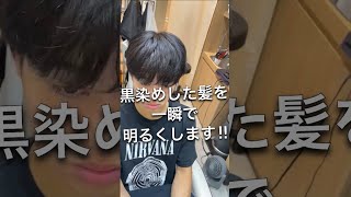 【#shorts】黒染めした髪を一瞬で明るくします！