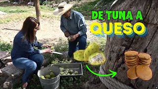 Cortamos TUNAS y las hicimos QUESO | ALMA CORONEL