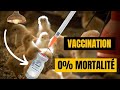 Comment vacciner vos poussins || 7ème jour.