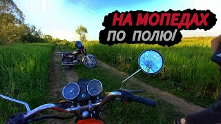 😍ДОЛГОЖДАННАЯ ПОКАТУШКА на АЛЬФЕ. Катаемся по полю.