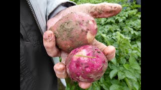 2020 WSCPR- Skagit Valley tour