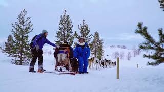 Kirkenes Snowhotel - Husky Safari