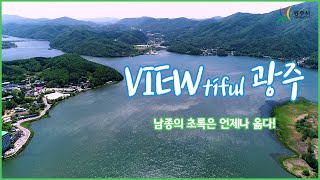 [Viewtiful 광주] 남종면의 초록은 언제나 옳다