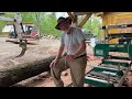 learn how to automate your timber sawmill shed cheap and safe