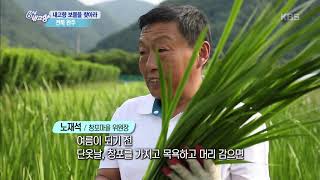 [내고향 보물을 찾아라] 전북 완주 [6시 내고향]20190605