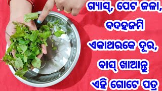 ପେଟ ଗ୍ୟାସ୍, ବଦହଜମି ଓ ଏସିଡିଟି ଆଦି ବଡ଼ ବଡ଼ ସମସ୍ୟାକୁ ପୁରା ପୁରି ଭଲ କରିବ ଏହି ଜିନିଷ, ବାସ୍ ଥରେ ଖାଆନ୍ତୁ