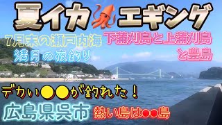 広島県【初心者🔰エギング#53】夏イカエギング/7月末/デカい●●が釣れた！7月末の瀬戸内海/下蒲刈と上蒲刈と豊島/広島県呉市