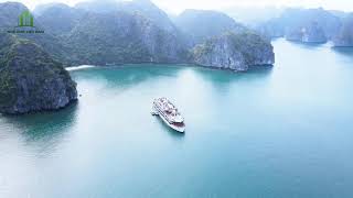 TẬP ĐOÀN NHÀ PHỐ VIỆT NAM 2