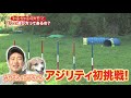 【🙋‍♀️みやぞんと一緒に学ぶ❗️④】わんちゃんが喜ぶ🐶💕　正しい遊び方💓