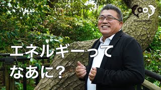 「エネルギーってなあに？」   [ドクタードルフィン 松久 正  公式チャンネル]