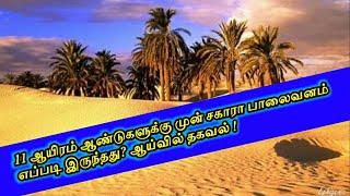 11 ஆயிரம் ஆண்டுகளுகக்கு முன் சகாரா பாலைவனம் எப்படி இருந்தது ! ஆய்வில் வெளியான தகவல் !