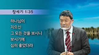 황웅재 - 복음시리즈 : 창조주의 사랑 - P53 유전자