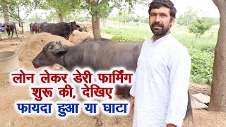 लोन लेकर डेयरी फार्मिंग शुरू की, देखिए घाटा हुआ या फायदा, Is Dairy Farming Profitable !