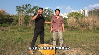 农村小伙用来放生的鱼险些被吃掉，真是惊险【米菜兄弟】