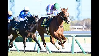 20250118 競馬ﾚｰｽﾄﾋﾟｯｸ　09【姉クレアを超えるか!】'25紅梅S T1400 3OP ナムラクララ