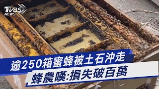 逾250箱蜜蜂被土石沖走 蜂農嘆:損失破百萬｜TVBS新聞 @TVBSNEWS01