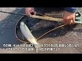 kⅡカスタムロッド　2024年中禅寺湖実釣編 2nd　chuzenji lake spey fishing 2nd 2024