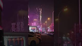 2024天津农历新年 Lunar New Year Tianjin 2024