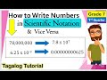 [Tagalog] Write Numbers in Scientific Notation and Vice Versa #ScientificNotation #Mathematics7