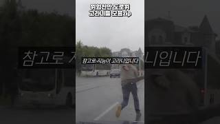 위험천만 도로위 고라니들 모음zip #술주정