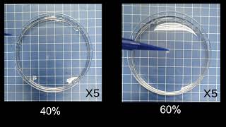 Immersion Phase Separation 3-Dimensional Printing for Strain-Stiffening Hydrogel Scaffolds Movie S2