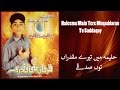 Farhan Ali Qadri - Haleema Main Tere Muqaddaran Tu Saddaqay