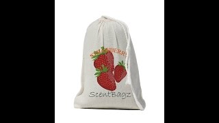 ScentBagz Air Freshener - ona air freshener